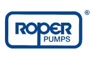 ѶRoperֱúRoperݸ˱üȫ4%